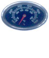 MagiCater oval thermometer