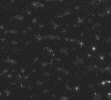Black River: a lightly textured black finish