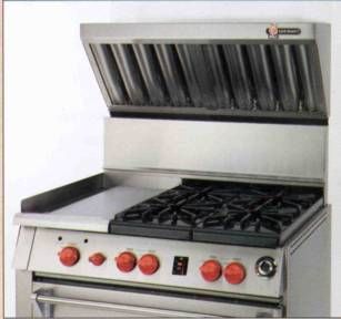 Wolf Authentic Range and Hood